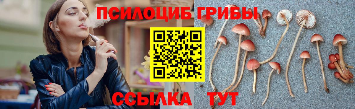 Псилоцибиновые грибы ЛСД  Вход с VPN  Спасск-Дальний  Галлюциногенные грибы MAGIC MUSHROOMS 